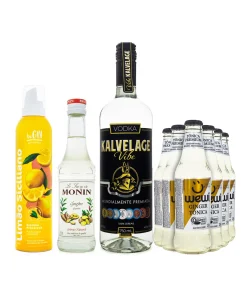 combo: 1 Vodka Kalvelage Vibe 750ml +6 Tônica Ginger Orgânica Wewi 255ml+ 1 Xarope Monin Gengibre 250ml +1 Espuma de Limão Siciliano Begin 240g
